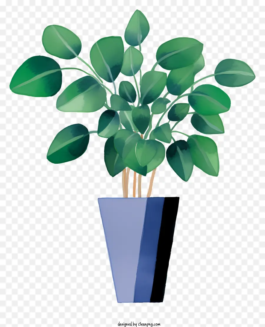 Pequeña Planta En Maceta，Planta En Maceta PNG