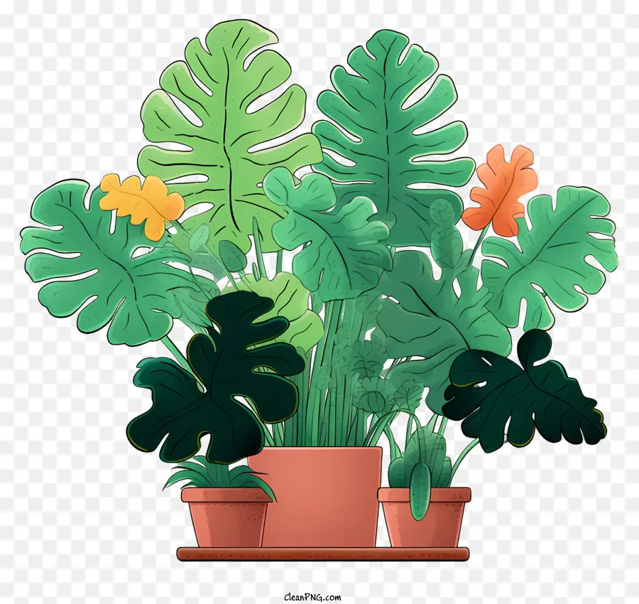 Planta En Maceta，Estante PNG