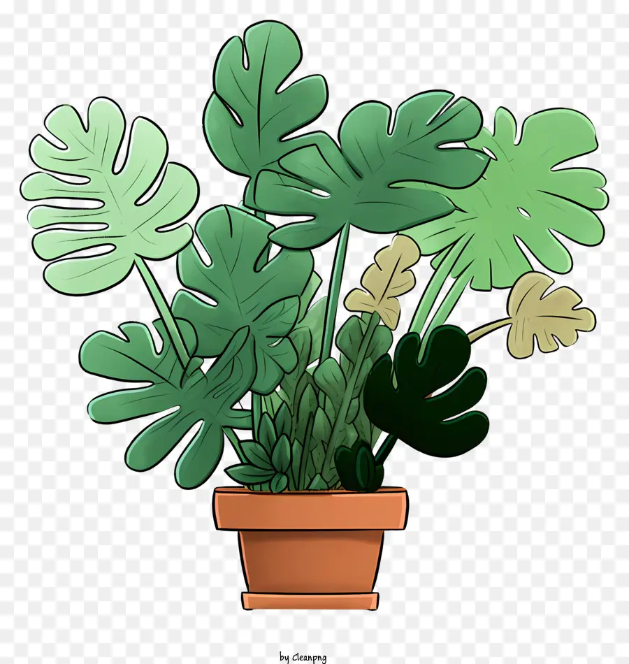 Plantas De Maceta，Las Plantas Verdes PNG