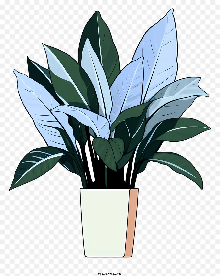 Planta En Maceta，Hojas PNG