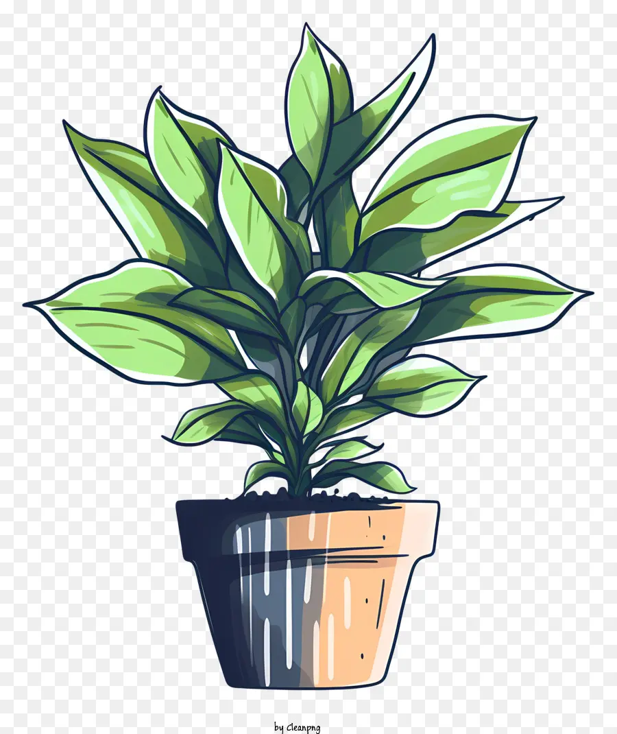 Planta，Hojas PNG