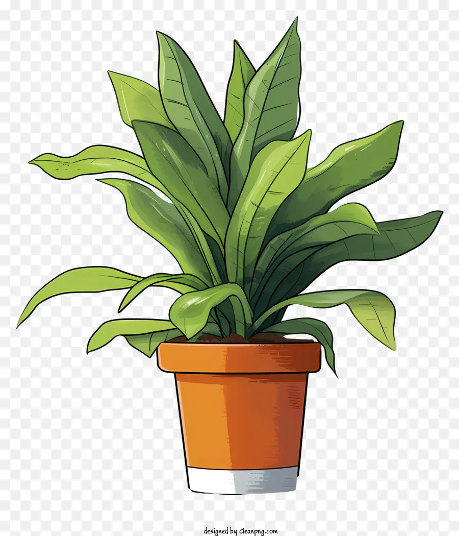 Planta，Bote PNG