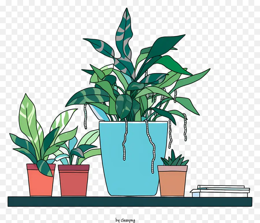 Las Plantas En Maceta，Decoración Del Estante PNG