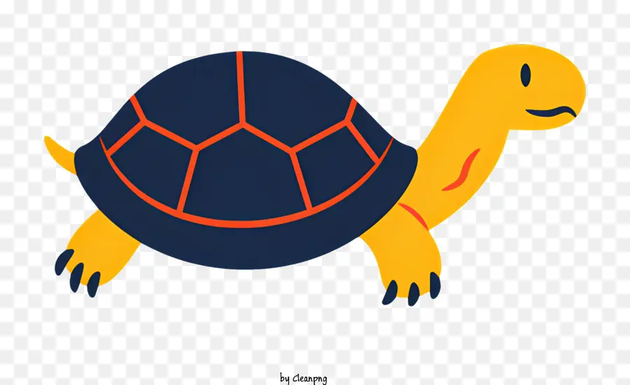 Tortuga，Tortuga Para Caminar PNG