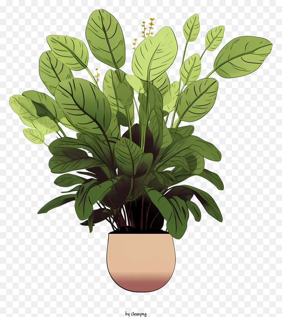 Planta En Maceta，Hojas Verdes PNG