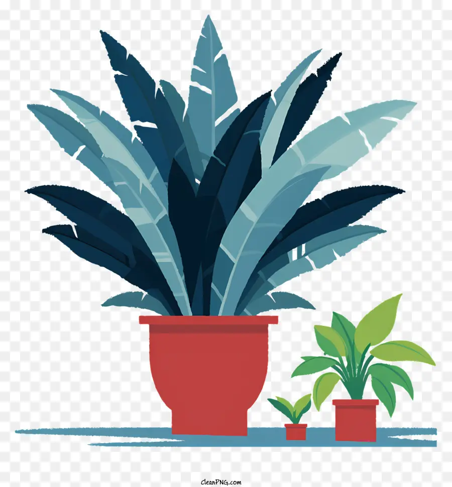 Planta En Maceta，Planta De Interior PNG