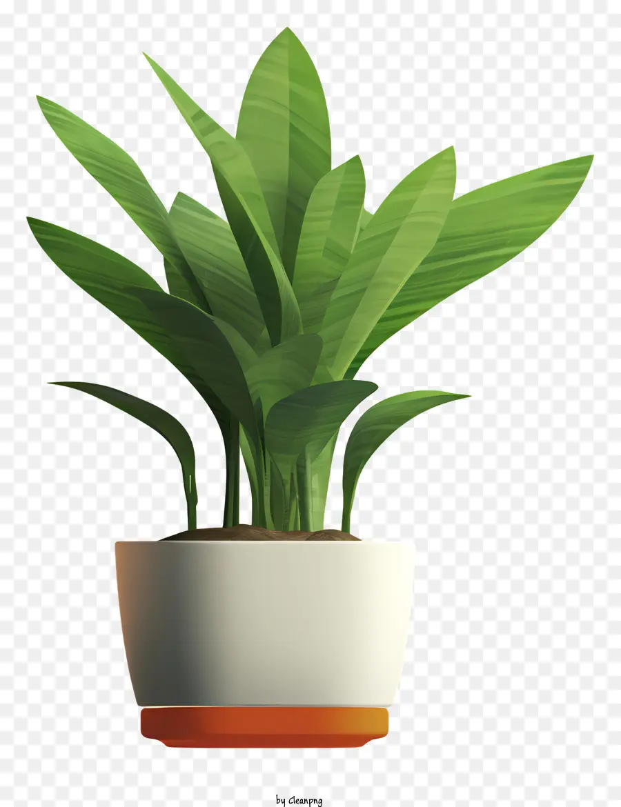 Planta En Maceta，Hojas Verdes PNG