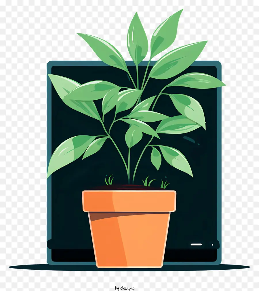 Planta En Maceta，Planta Verde PNG