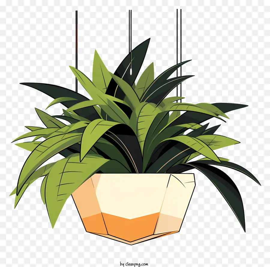 Colgando De La Planta，Helecho PNG