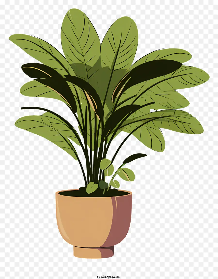 Plantar En Una Maceta，Helecho PNG