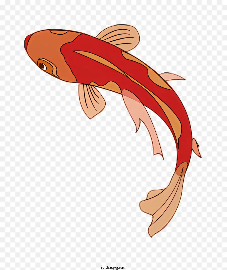 Pez，Pescado Rojo PNG