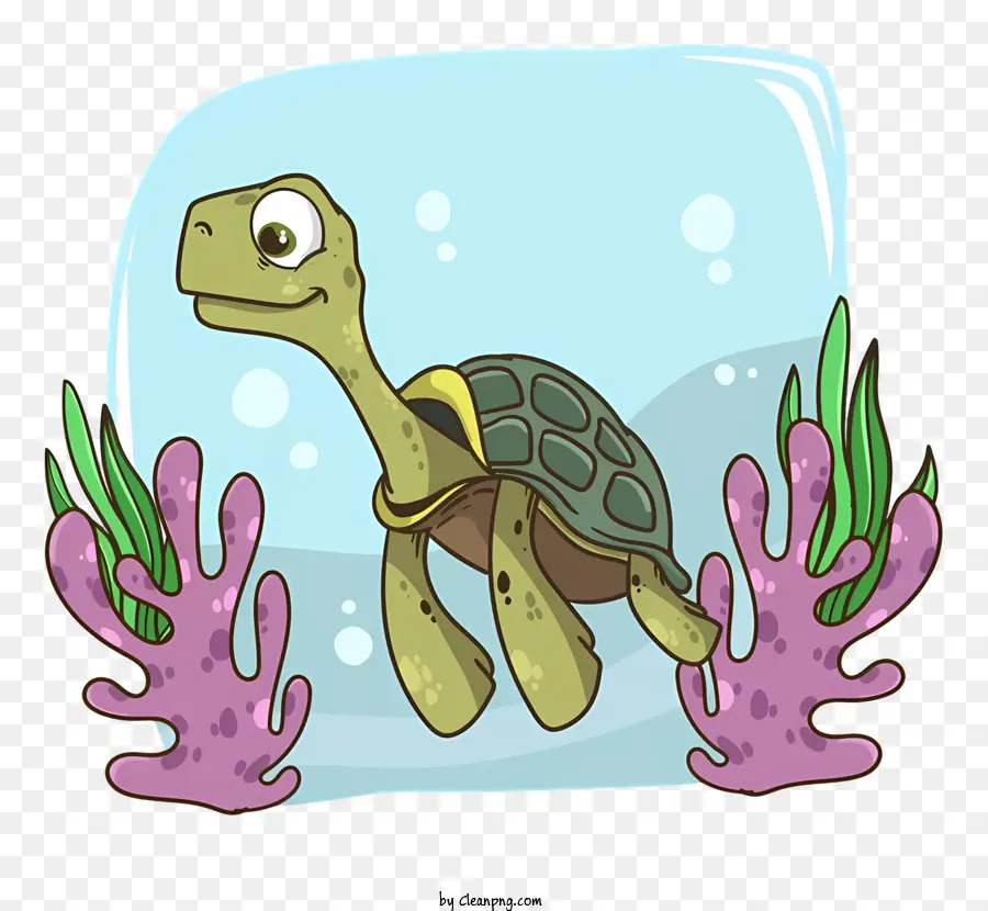 Tortuga，Acuario PNG