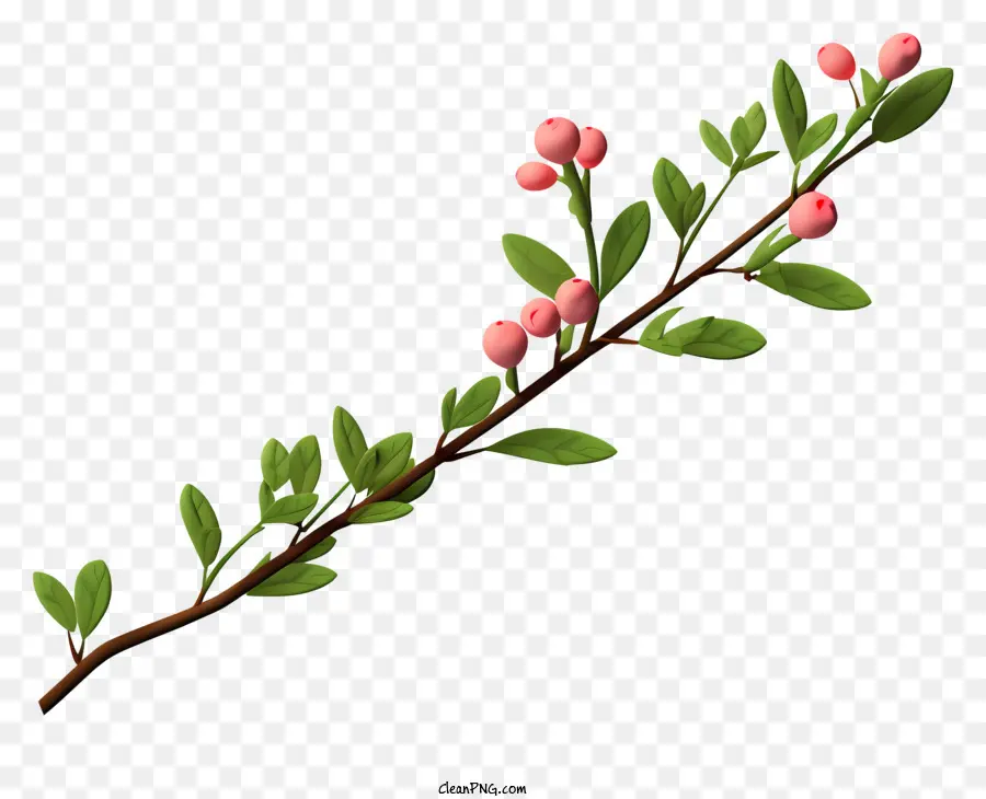 Flores Rosadas，Rama Con Bayas PNG