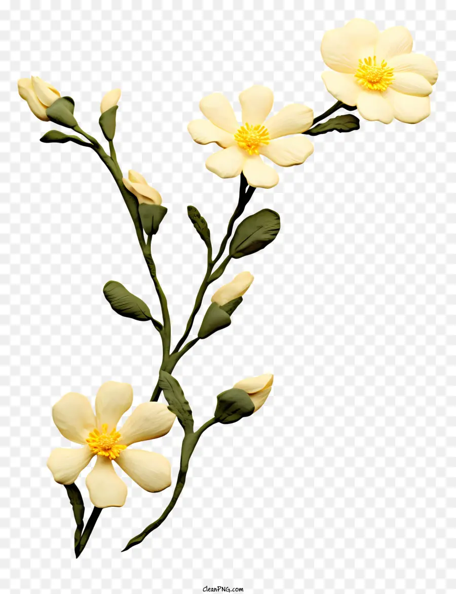 Flor Blanca，Cinco Pétalos PNG