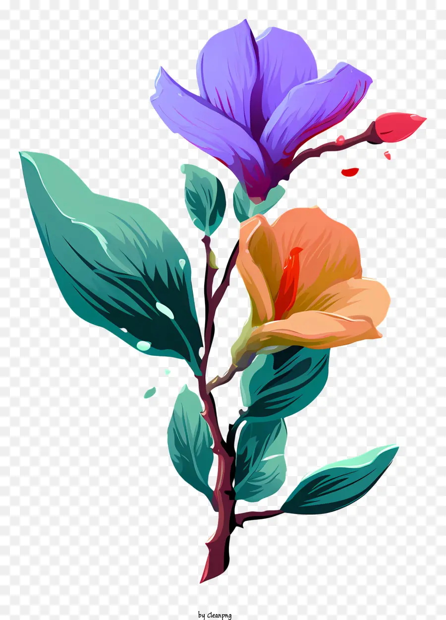 Flores，Flores Coloridas PNG