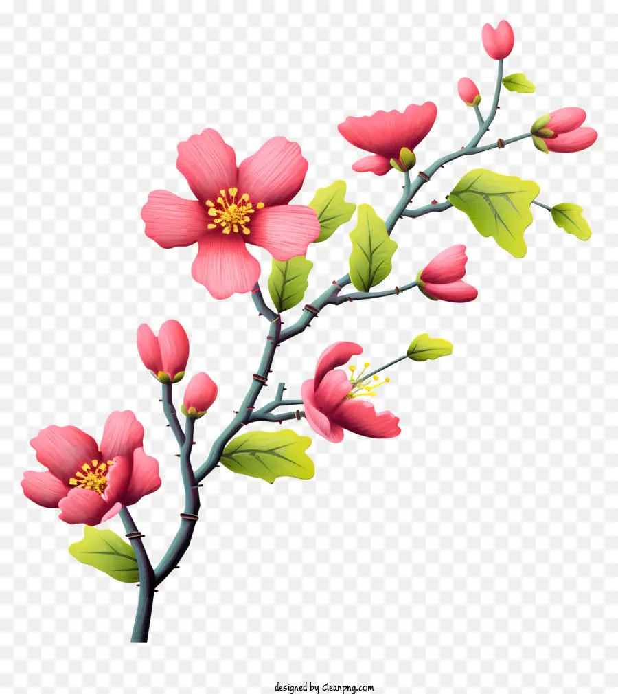 Flores De Cerezo，Pétalos De Rosa PNG