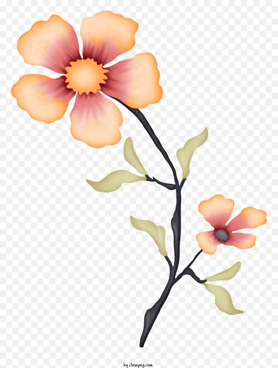 Dibujo，Flor Rosa PNG