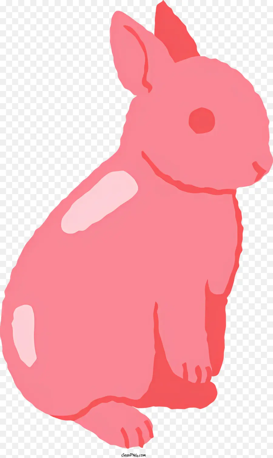 Cartoon Rabbit，Conejo PNG