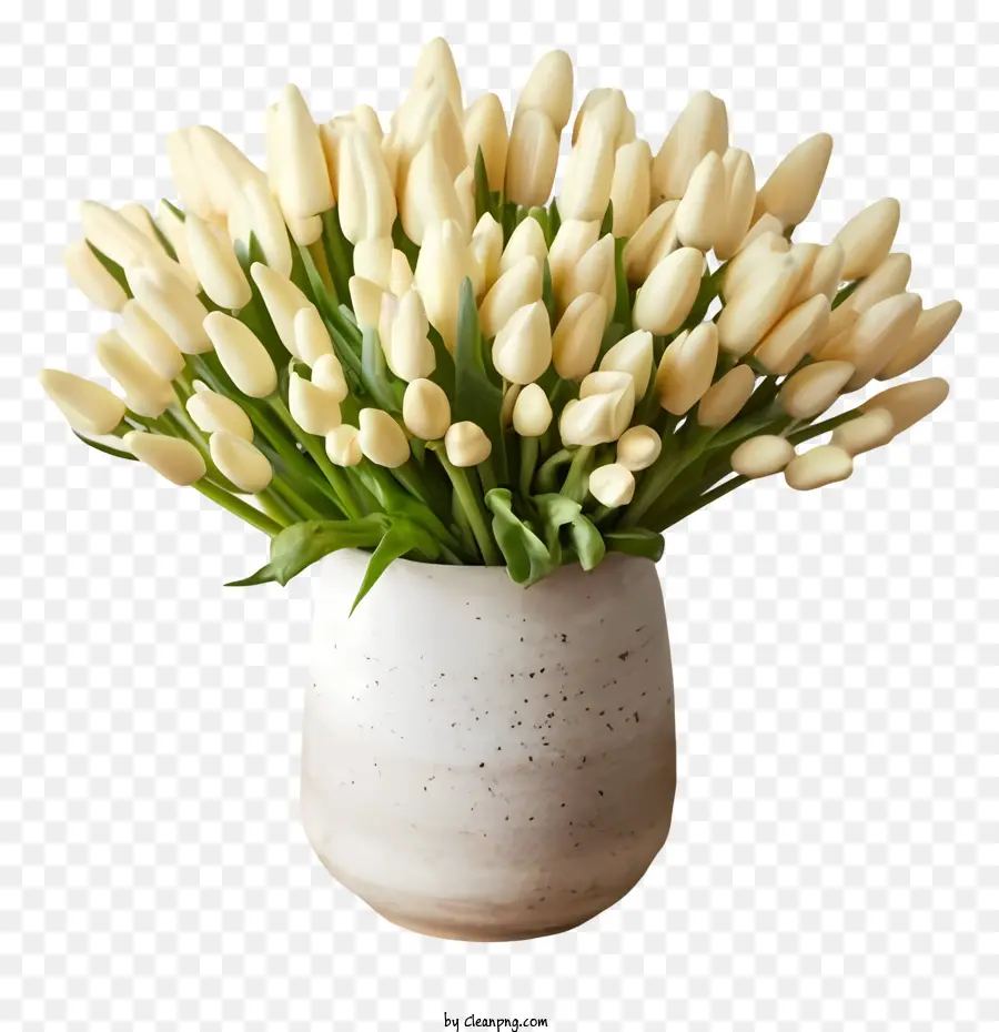 Tulipanes Blancos，Arreglo De Jarrón PNG