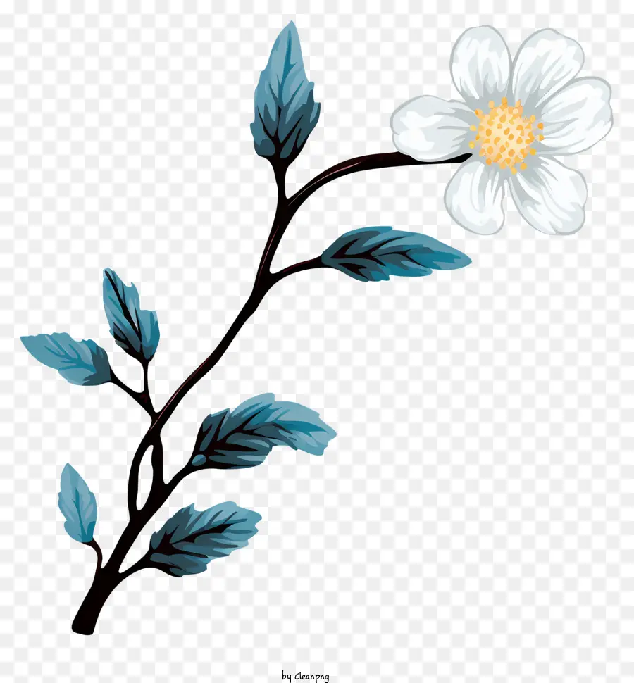 Flor Blanca，Las Hojas Azules PNG