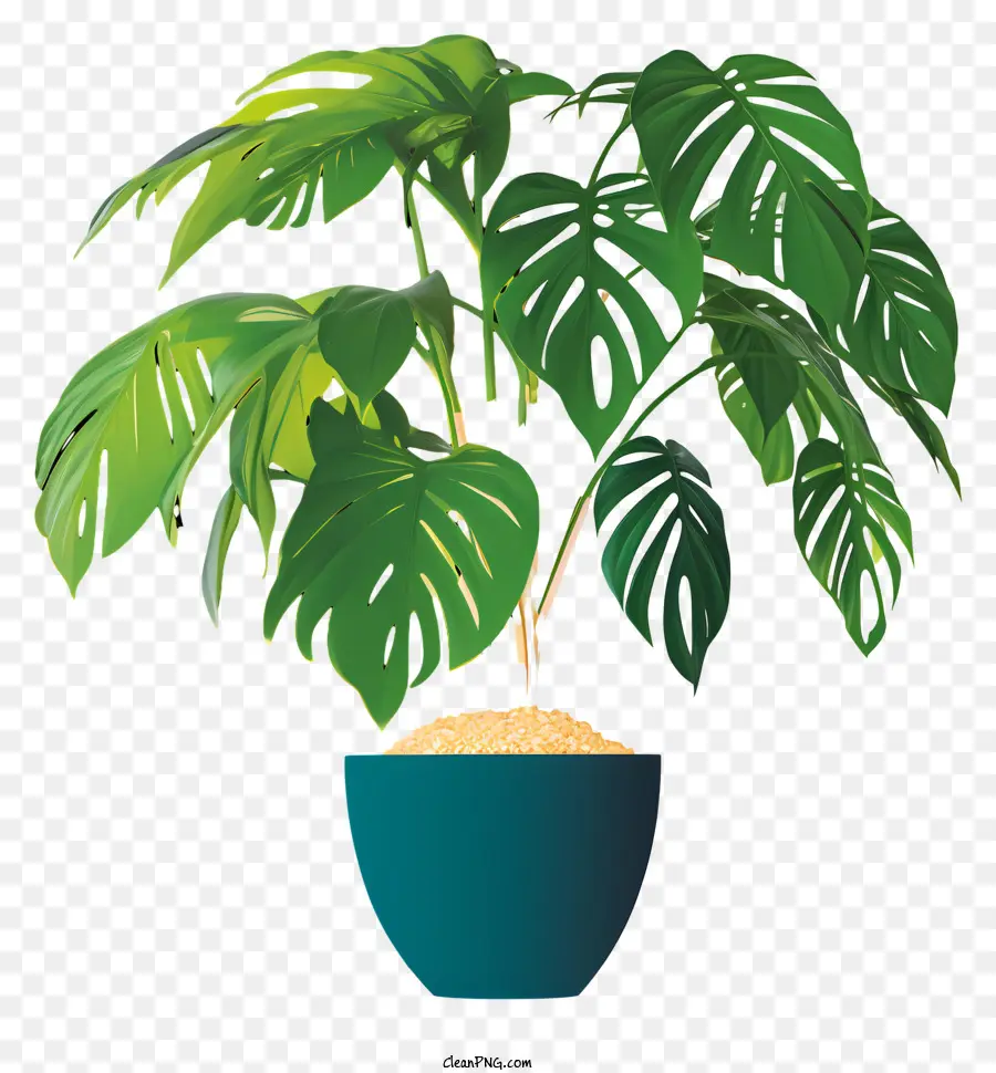 Planta En Maceta，Monstruo De La Planta PNG