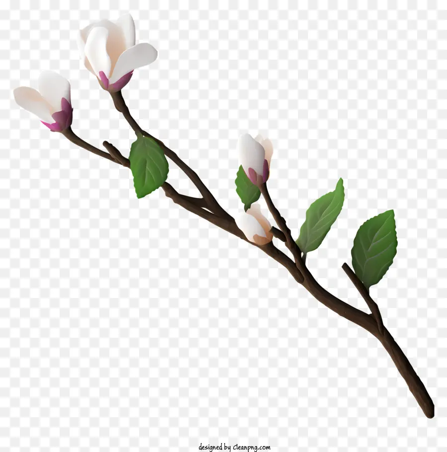 Rama De árbol，Flores Blancas PNG