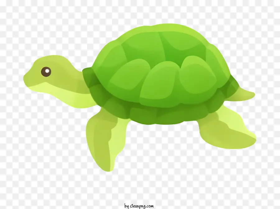 Tortuga Verde，Tortuga Azul PNG