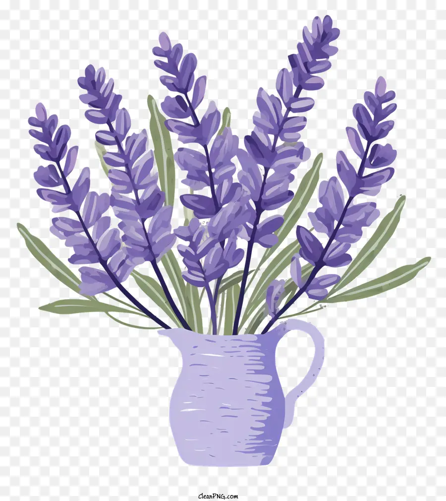 Flores De Lavanda，Lavanda PNG