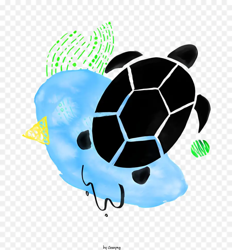 Tortuga，Roca Azul PNG