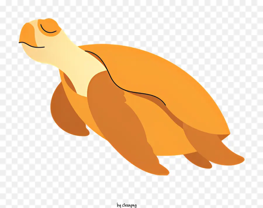 De Dibujos Animados De La Tortuga，Tortuga Amarilla Y Negra PNG