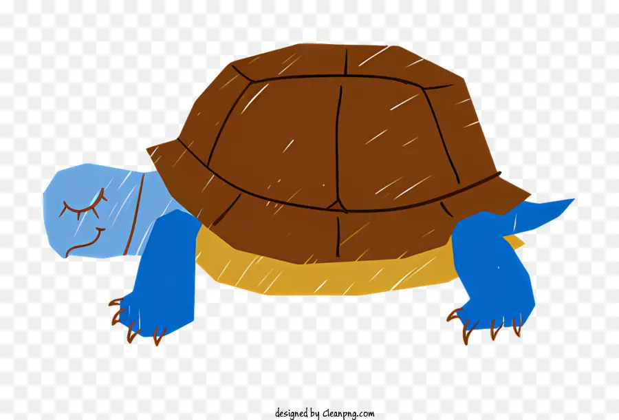 Tortuga，El Azul Y El Amarillo PNG