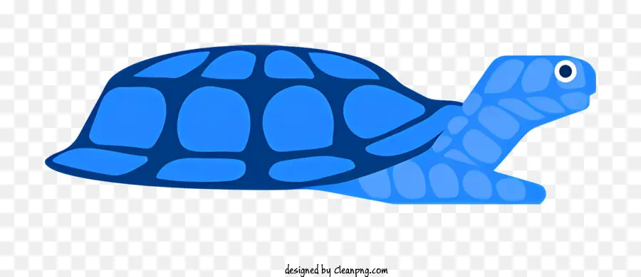 Azul Tortuga，Tortuga De Cabeza Grande PNG