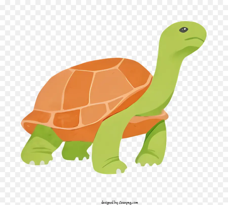 Tortuga，Tortuga De Dibujos Animados PNG