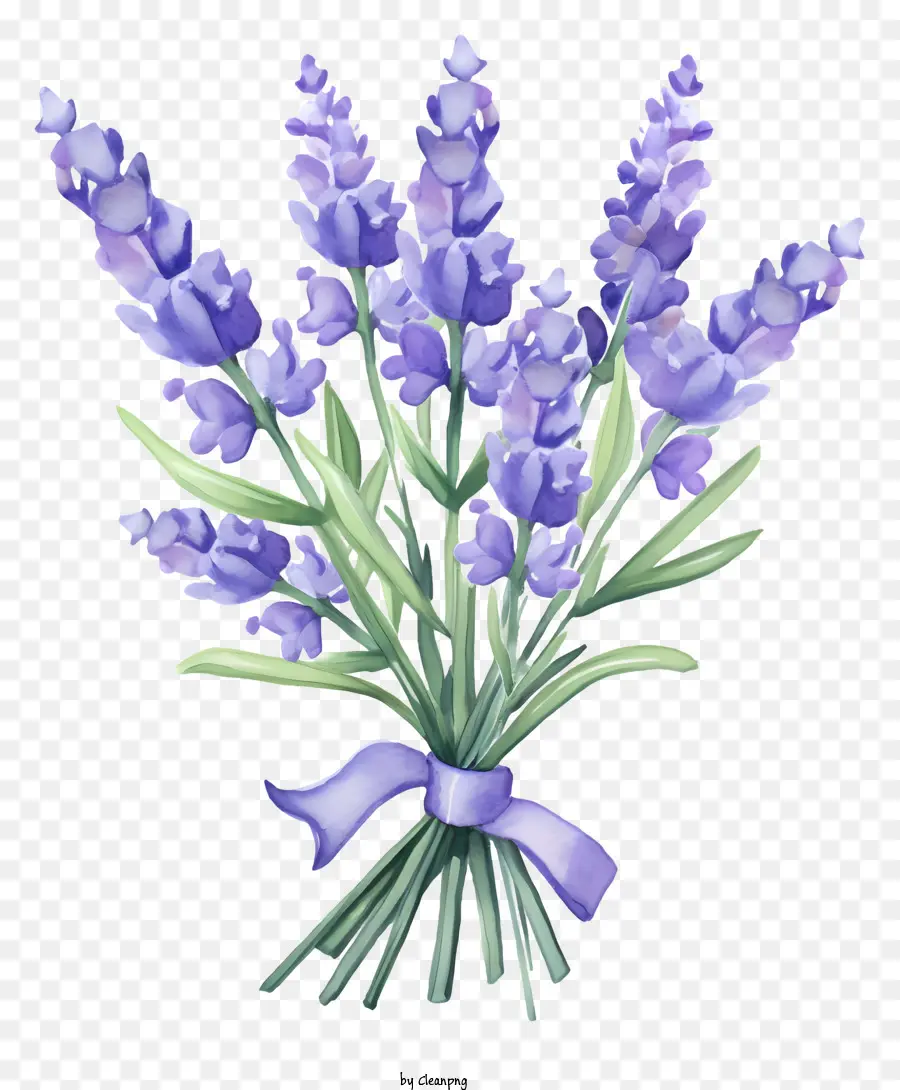 Las Flores De Lavanda，Ramo PNG