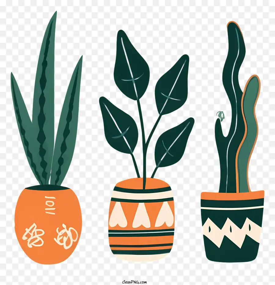 Trío De Plantas，Las Plantas En Macetas PNG