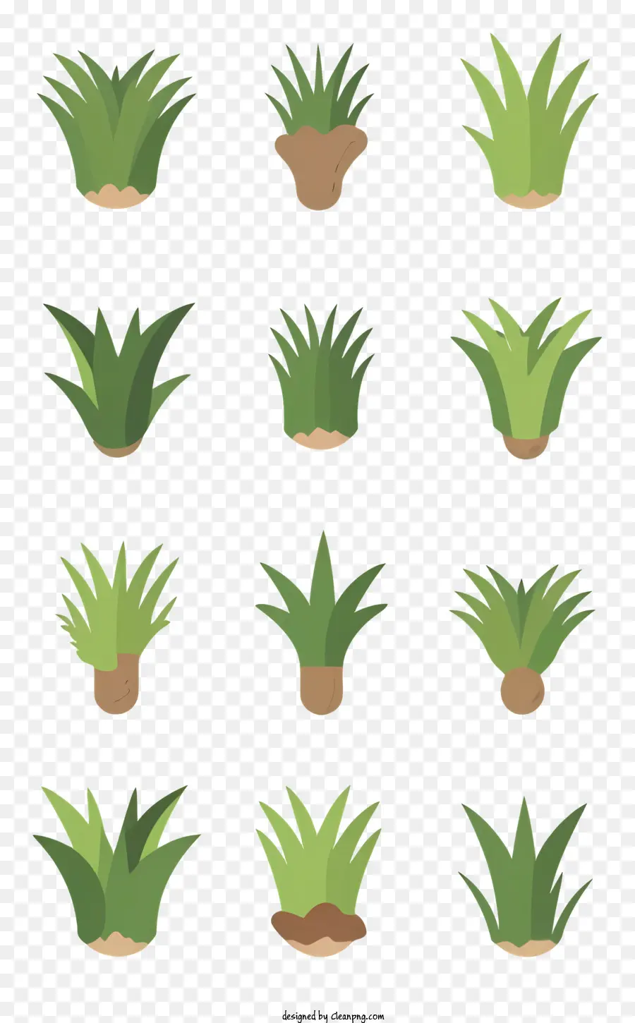 Plantas，Césped PNG