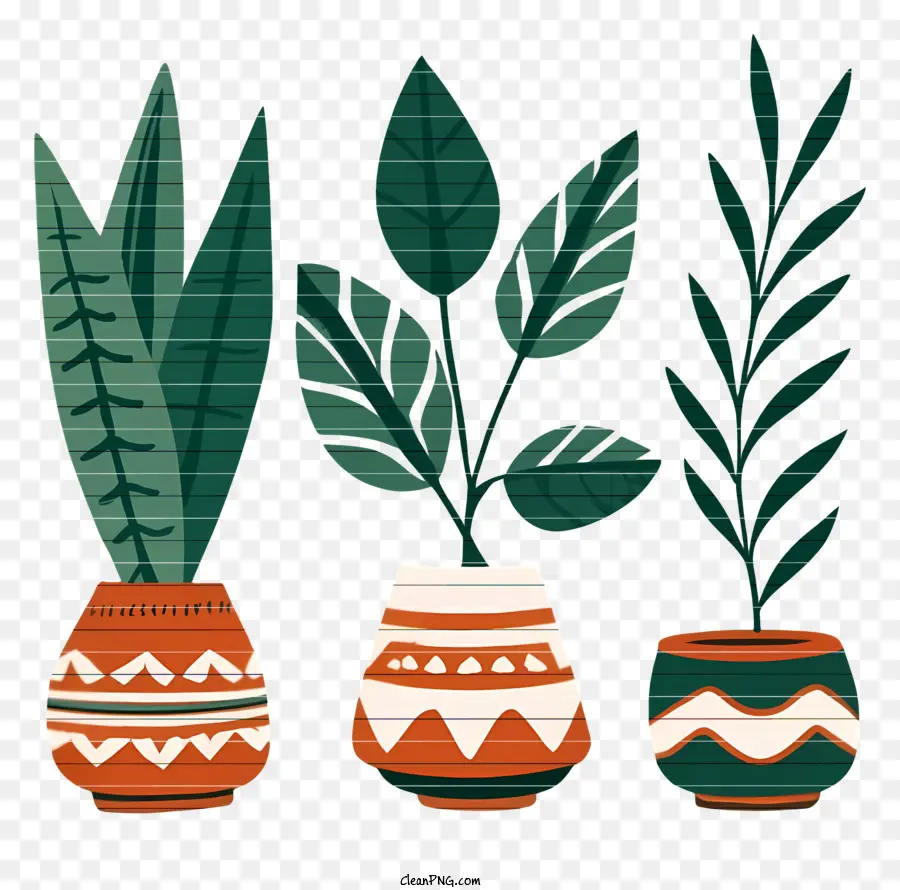 Cuadro，Plantas En Macetas PNG