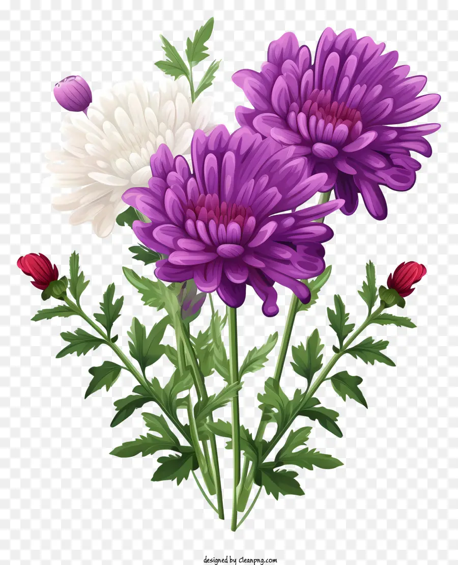 Las Flores De Crisantemo，Ramo PNG