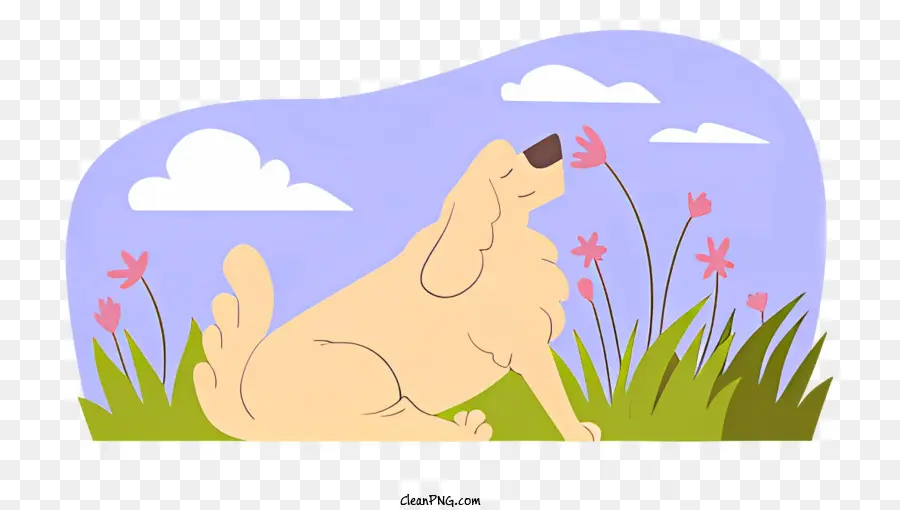 Perro De Dibujos Animados，Perro PNG