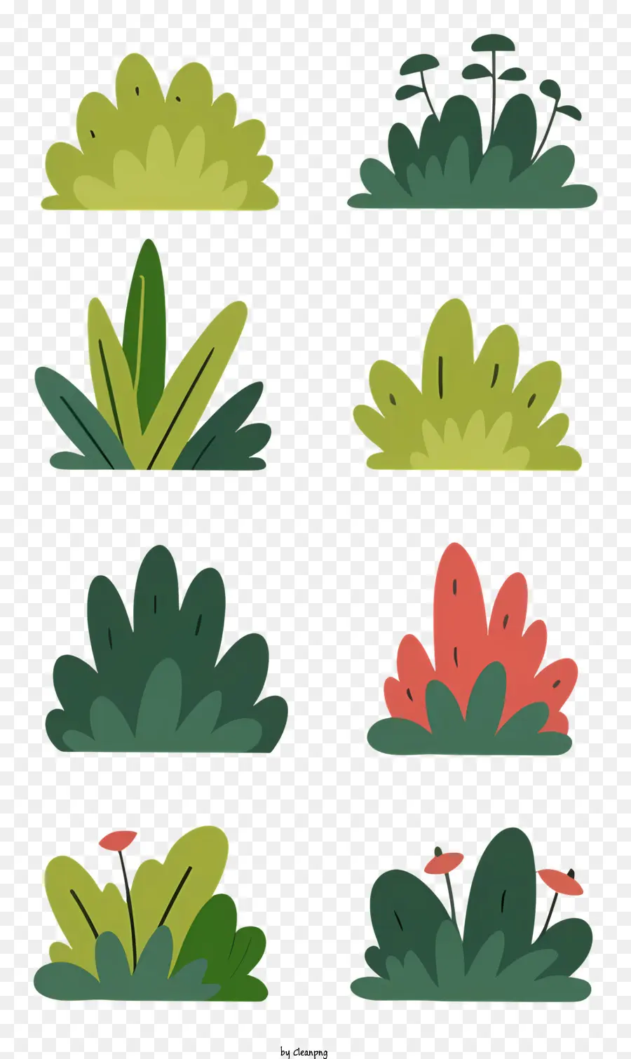 Tipos De Plantas，Matorrales Y Arbustos PNG