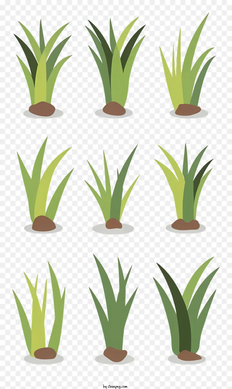 Las Plantas Verdes，Suelo PNG