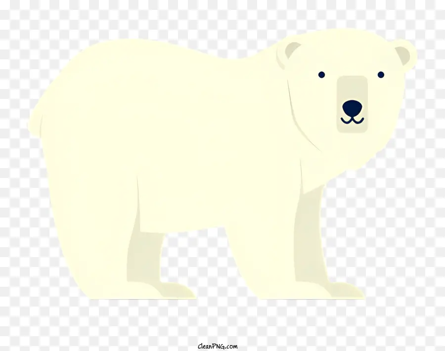 Palabras Clave Bear White Bear，Patas Traseras PNG