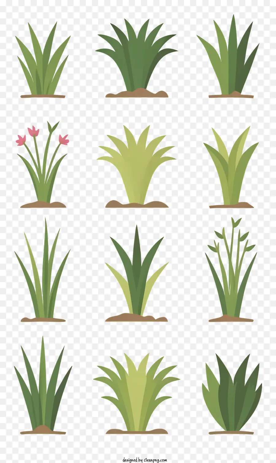 Las Plantas，Jardinería PNG