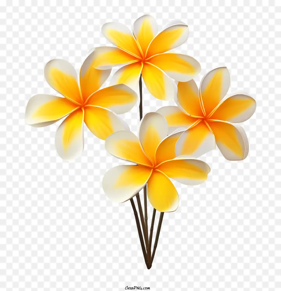 Flor De Plumeria，Flores Amarillas PNG