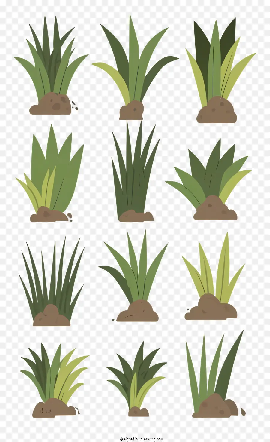 Las Plantas，Suelo PNG