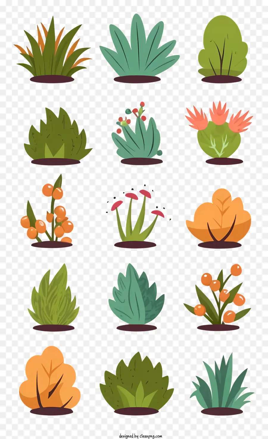 Las Plantas，Las Plantas Suculentas PNG