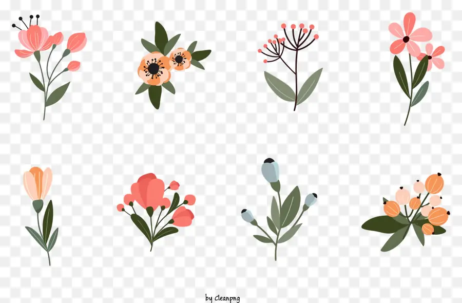 Imágenes Florales，Flores Coloridas PNG