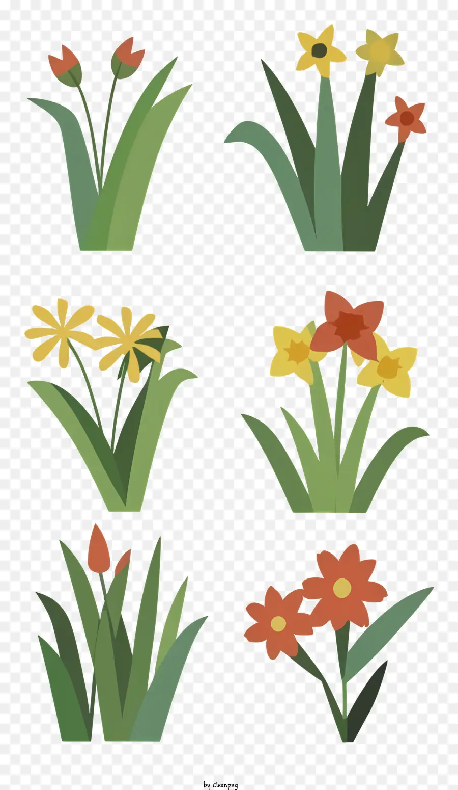 Flores De Colores，Narciso Amarillo PNG