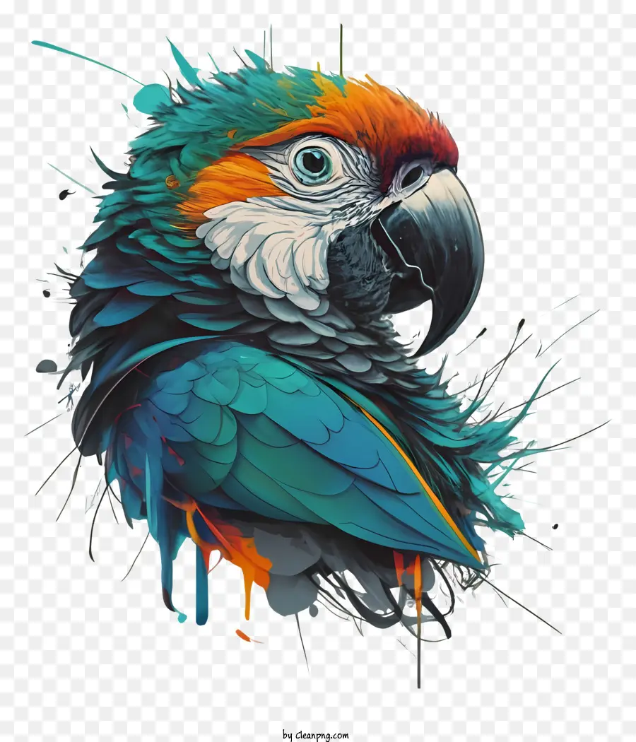 Loro，Colores Vibrantes PNG