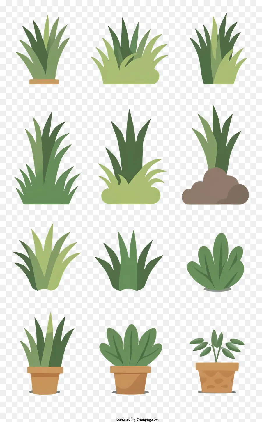 Las Plantas Verdes，Plantas Marrones PNG